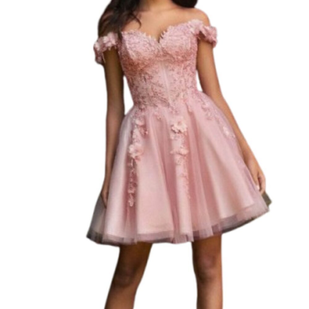 SALE NWT Ladivine CD0194 Lace Applique Cocktail Dress Blush Size 3X